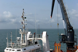 A knuckle jib crane which is fixed permanently to the deck of a support vessel